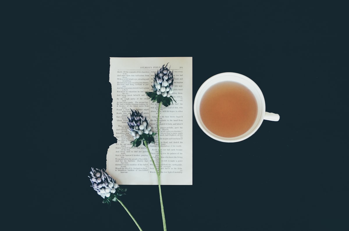 茶园风光
